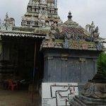 Pallikonda_Perumal_-_Thiruthetriambalam2