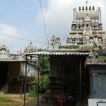 Pallikonda_Perumal_-_Thiruthetriambalam3