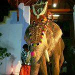 Pallivetta_on_9th_day_of_Utsavam_in_Sree_Krishna_Temple