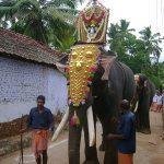 Ready_for_procession, Manalikarai Azhvar Krishna Swamy Temple, Kanyakumari