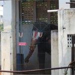 Sri AdikesavaPerumal.tnhrce (34), Adikesava Perumal Temple, Sriperumpudur, Kanchipuram