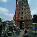 Sri Vadaranyeswarar Temple, Vadaranyeswarar Temple, Thiruvalangadu, Tiruvallur