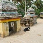 Thirunanipalli03, Ponsei Natrunaiyappar Temple, Thirunanipalli, Nagapattinam