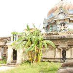 Thirunanipalli10, Ponsei Natrunaiyappar Temple, Thirunanipalli, Nagapattinam