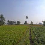 Tirumalpur_HDR2, Parasurameswarar Temple, Tirumalpur, Kanchipuram