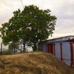 img_large_8, Malayadi Mala Mahadevar Temple, Malayadi, Kanyakumari