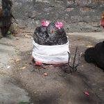 Kanathur Shiva Temples, Kanchipuram