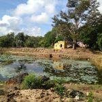 kodikulam_vedanarayanan_temple, Veda Narayana Perumal Temple, Kodikulam, Madurai