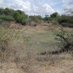 Kameswarar Temple, Madavilagam, Kanchipuram