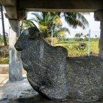 nkhvkhkh, Pachil Metrali, Azhagiya Manavalam, Trichy