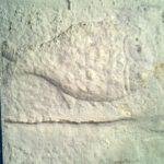 output-3, Viswanathar Navagraha Temple, Pazhur, Trichy