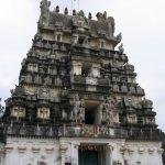 paarthan palli, Thiruppaarthanpalli Thamaraiyaal Kelvan Perumal Temple, Thirunangur, Nagapattinam