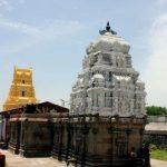perumal-tirupattur-1, Varadaraja Perumal Temple, Thirupattur, Trichy