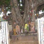 put (50), Pathala Lingeswarar Temple, Kakkalur, Thiruvallur