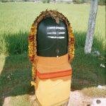 r001-016, Vanmeeganathar Temple, Kanchipuram