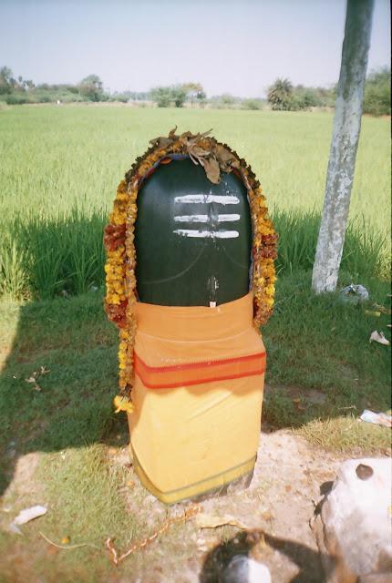 r001-016, Vanmeeganathar Temple, Kanchipuram