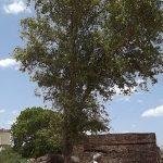 Sornapuriswarar Temple, Salavakkam, Kanchipuram