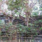temple walls, Adi Narayana Perumal Temple, Pulicat, Thiruvallur