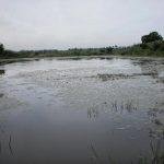 thiru6, Thiruvandeeswarar Temple, Thiruvanthavar, Kanchipuram