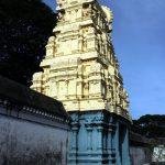 varadar-haridwar-2, Varadaraja Perumal Temple, Haridwaramangalam, Thiruvarur