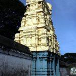 varadar-haridwar-2, Varadaraja Perumal Temple, Haridwaramangalam, Thiruvarur