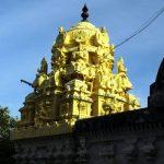 varadar-haridwar-3, Varadaraja Perumal Temple, Haridwaramangalam, Thiruvarur