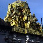 varadar-haridwar-4, Varadaraja Perumal Temple, Haridwaramangalam, Thiruvarur