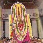 0b7d4f109fe84866b5046067c4448939, Vaikom Temple, Kottayam, Kerala