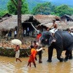 10428723_292579667589861_668115202_n