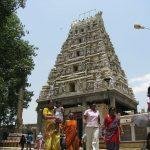 1074-bull-temple-karnataka, Dodda Basavana Gudi, Bengaluru, Karnataka