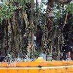 1200px-ഓച്ചിറആൽത്തറ