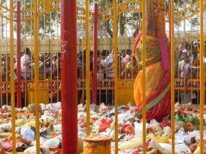 14 (2), Sammakka Saralamma Jatara, Jayashankar Bhupalpally, Telangana