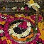 1469706857, Omkareshwar Jyotirlinga, Khandwa, Madhya Pradesh