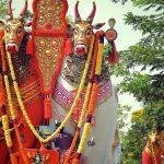 15298466489_cb2e6e5bb5_b, Oachira Temple, kollam, kerala