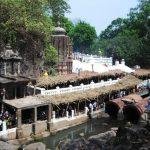 2018050838-npuw7gvweo3cjrlqdoxnu885weqnpgd4y41o45exl6 (1)