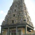 220px-Bangalore_Nandi_Temple, Dodda Basavana Gudi, Bengaluru, Karnataka