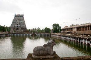 51136884-4721, Nataraja Temple, Cuddalore, Tamil Nadu