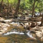 59335941, Pachmarhi, Hoshangabad, Madhya Pradesh 