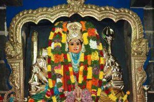59593472, Bhadrakali Temple, Warangal, Telangana