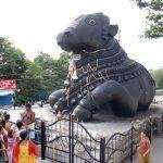 Big-Bull-Temple-Dodda-Basavana-Gudi-(the-Nandhi-Temple)