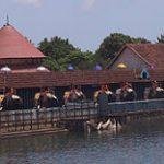 Koodalmanikyam Temple Festival 2009
