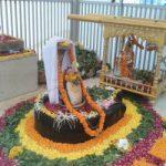 Pimpleshwar_Mahadev_Saldi_Mehsana_Gujarat_Temple_Idol-295x200