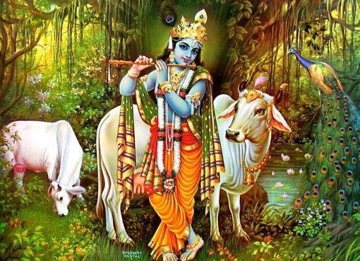 Shree-Krishn-Chalisa-510x369, Shri Krishana Chalisa