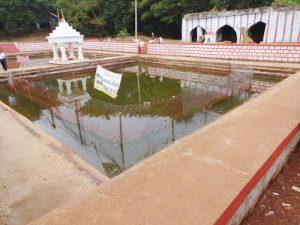Sri Anantha Padmanabha Swamy Temple in Ananthagiri Hills (23)