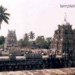 Srikurmam-Kurmanathaswamy-Vishnu-Temple2