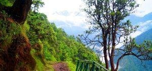 Surrounding-of-Madmaheshwar-temple, Madhyamaheshwar, Garhwal, Uttarakhand
