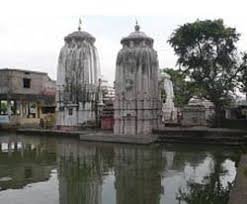 download, Chakresvara Tank, Bhubaneswar, Odisha