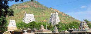 f5f220a4b0e9782ce2b39fd52e05cac5, Arunachalesvara Temple, Tiruvannamalai, Tamil Nadu