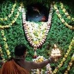 images, Amrutesvara Temple, Amruthapura, Chikkamagaluru, Karnataka