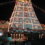 images (59), Kalyana Venkateswara Temple, Srinivasamangapuram, Andhra Pradesh